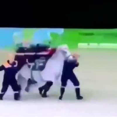 Horsebulance