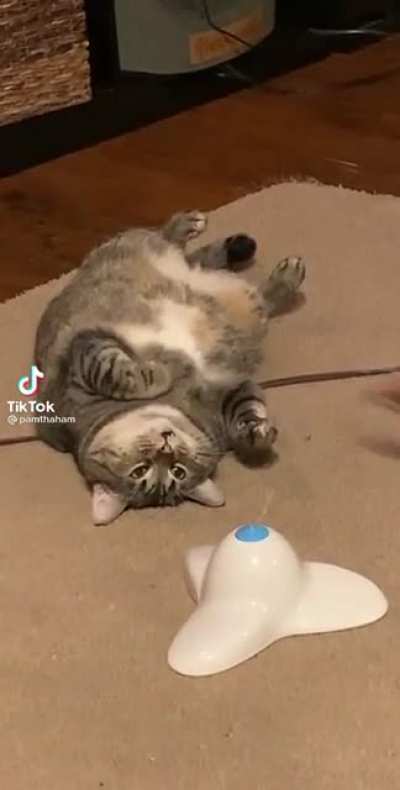 Think he&rsquo;s broken-