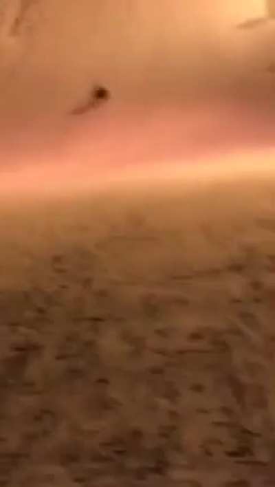 The R2D2 scream at the end lmfao