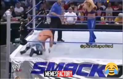 Pro wrestling move
