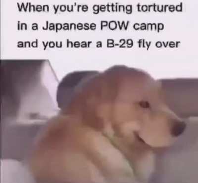 Ha