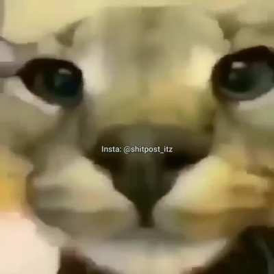 Kkkkk