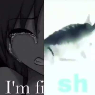 da fishy