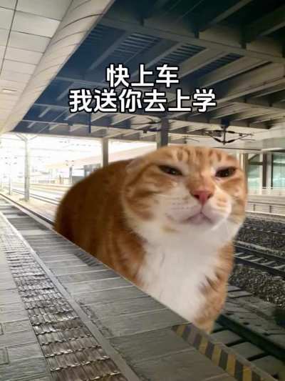 Oyen