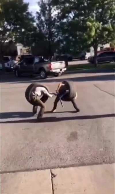 an incredible clash of swordsmen