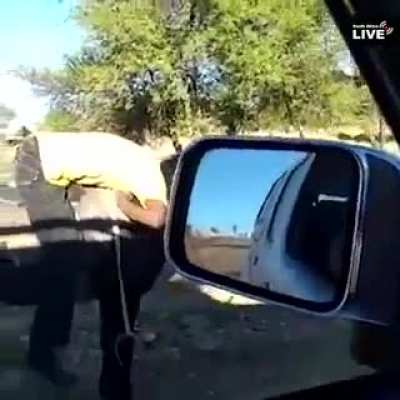 Бать, нормально?