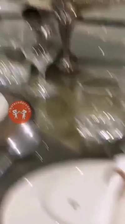 Muito cuidado no fog&atilde;o!
