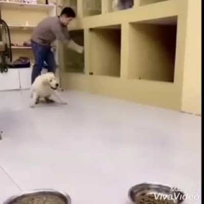 hiperaktif k&ouml;pek temp