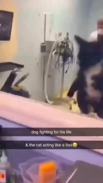 DONT LEAVE ME HERE