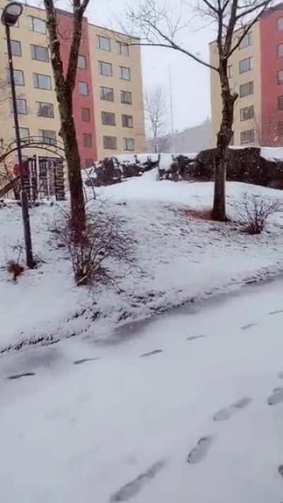 min&auml;❄irl