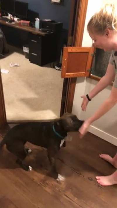 Dog didn&rsquo;t know her mom is a magician