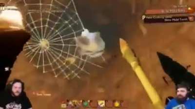 He got the little spider