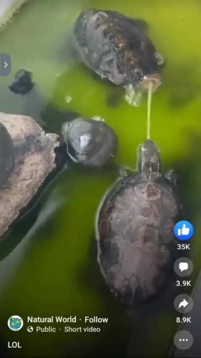 I'm sure they deserved it