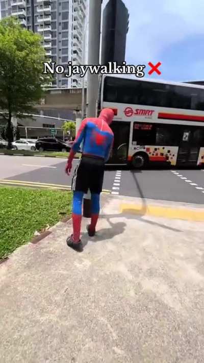 spidey on da go