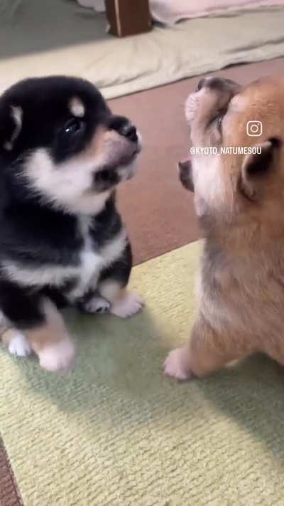 Sentiu o cheiro de leite a&iacute; tamb&eacute;m?