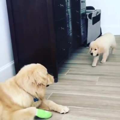 Sneak Attack!