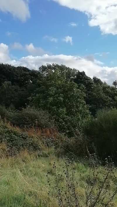 Hiking makes my boobs fall out xx 41 UK 5ft 