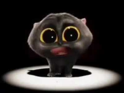 scatcat moment 2