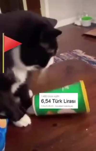 Bu sefer d&uuml;zelmedi :(