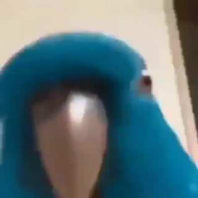 ojo