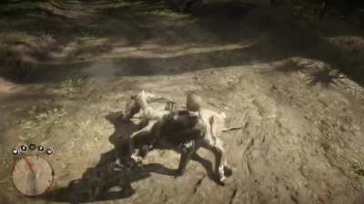I thought the horse was dead. Turned out it was Shawn Michaels.