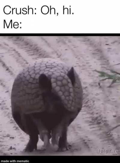 me_irl