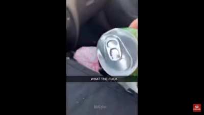 So this dude&rsquo;s just vibing right