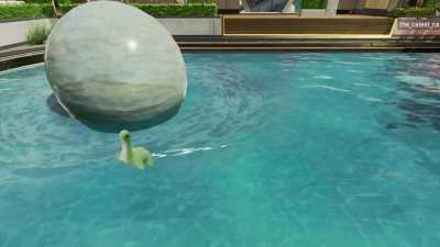 Nessie takes a swim 🥰❤