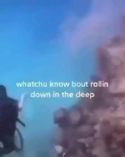 Brain goes numb