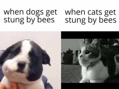 Title