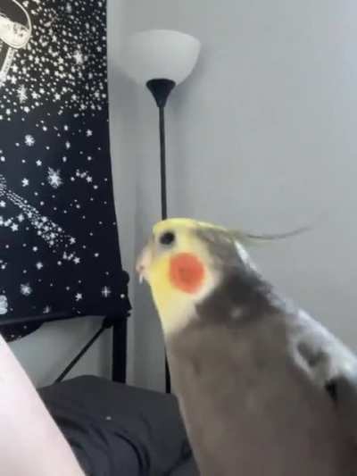 Here&rsquo;s my Groot rocking out to his fave song