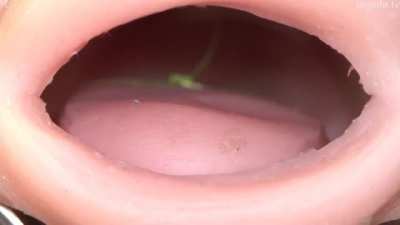 cursed_fleshlight