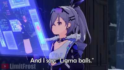 "Silver Wolf, Define Ligma"