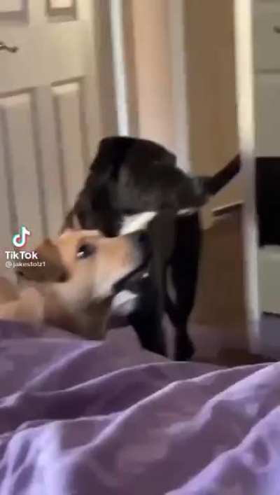 Where do you think you&rsquo;re going?