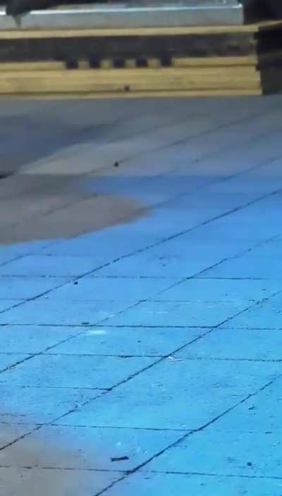 Rave Spider!