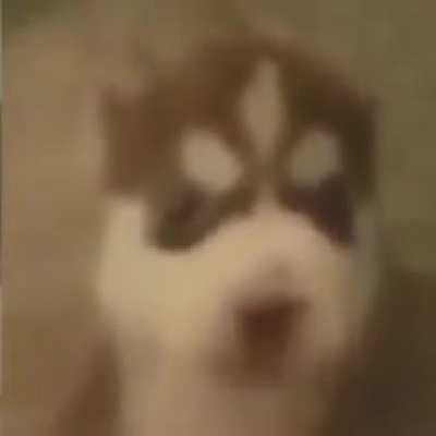 Owwww