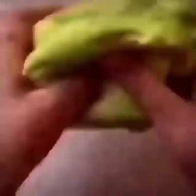 NOOOOOOOOOO