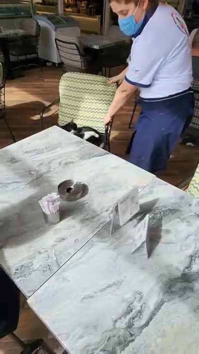 Went to a restaurant in Turkey. Offered my friend a chair to find this stray sleeping in the chair. Asked a waitress to handle this situation. This was her "handling". Gotta love Turkey.