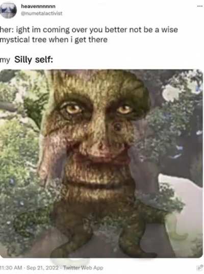 Shoo wa doo a doo