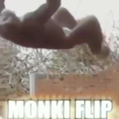 %100 B&Ouml;CEK YOK