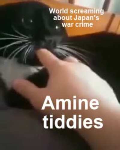 Seems true