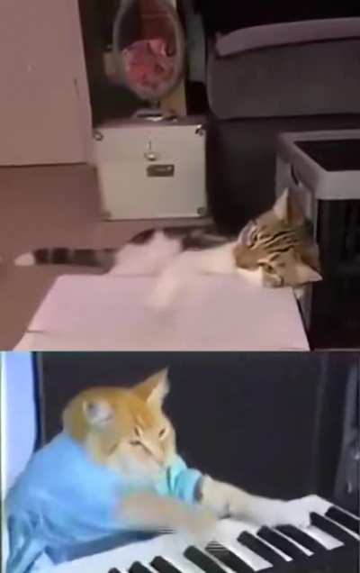 The real talent