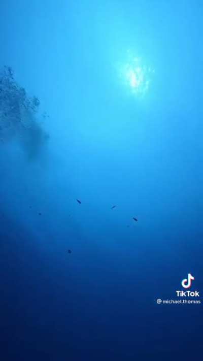 Beautiful and terrifying