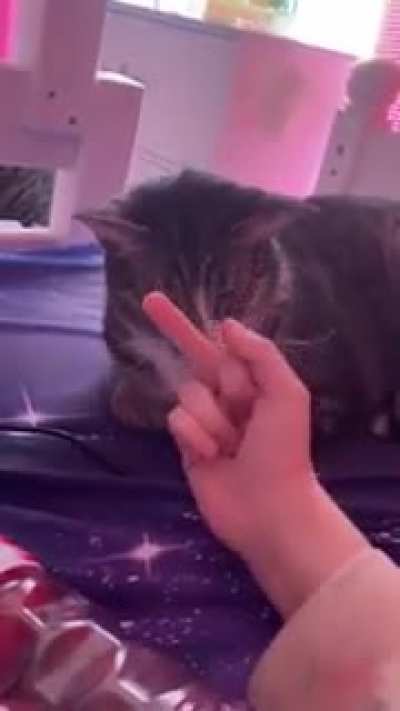 my friend and her cat