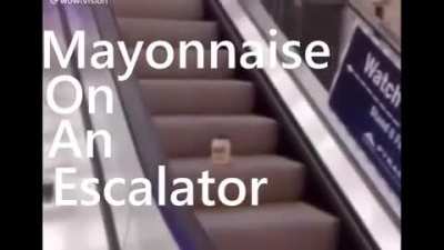 mayo