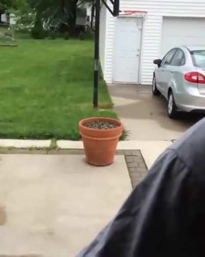 Dog thought she was so sneaky when she didn&rsquo;t want to come inside.