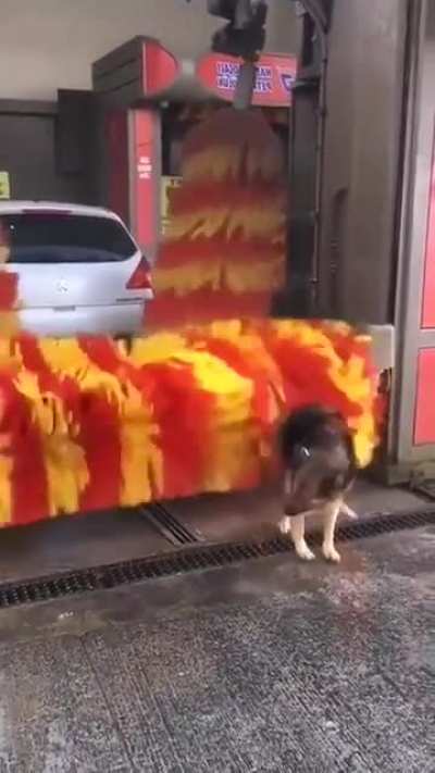 Почесушки