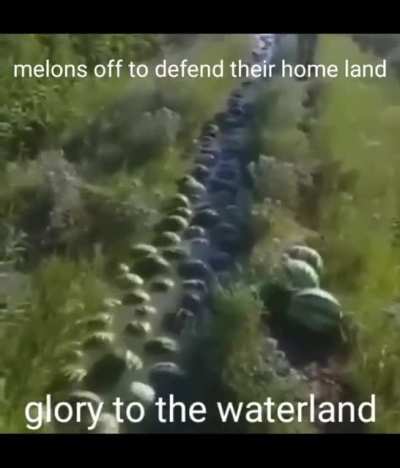 cummend in watermellons bueried 2 ft deeep family ate them oh fuck