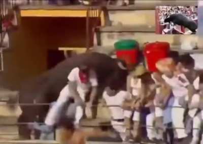 The bull interacted with the audience