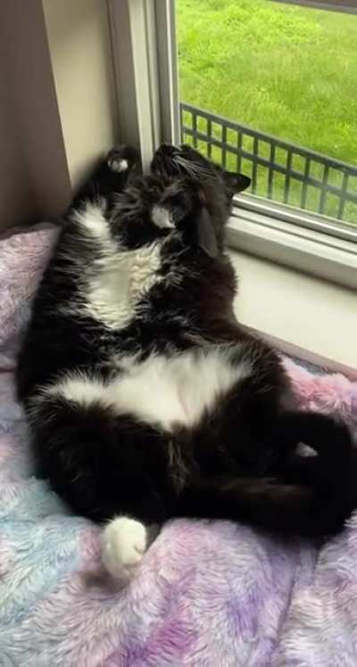 Probably dreaming about food